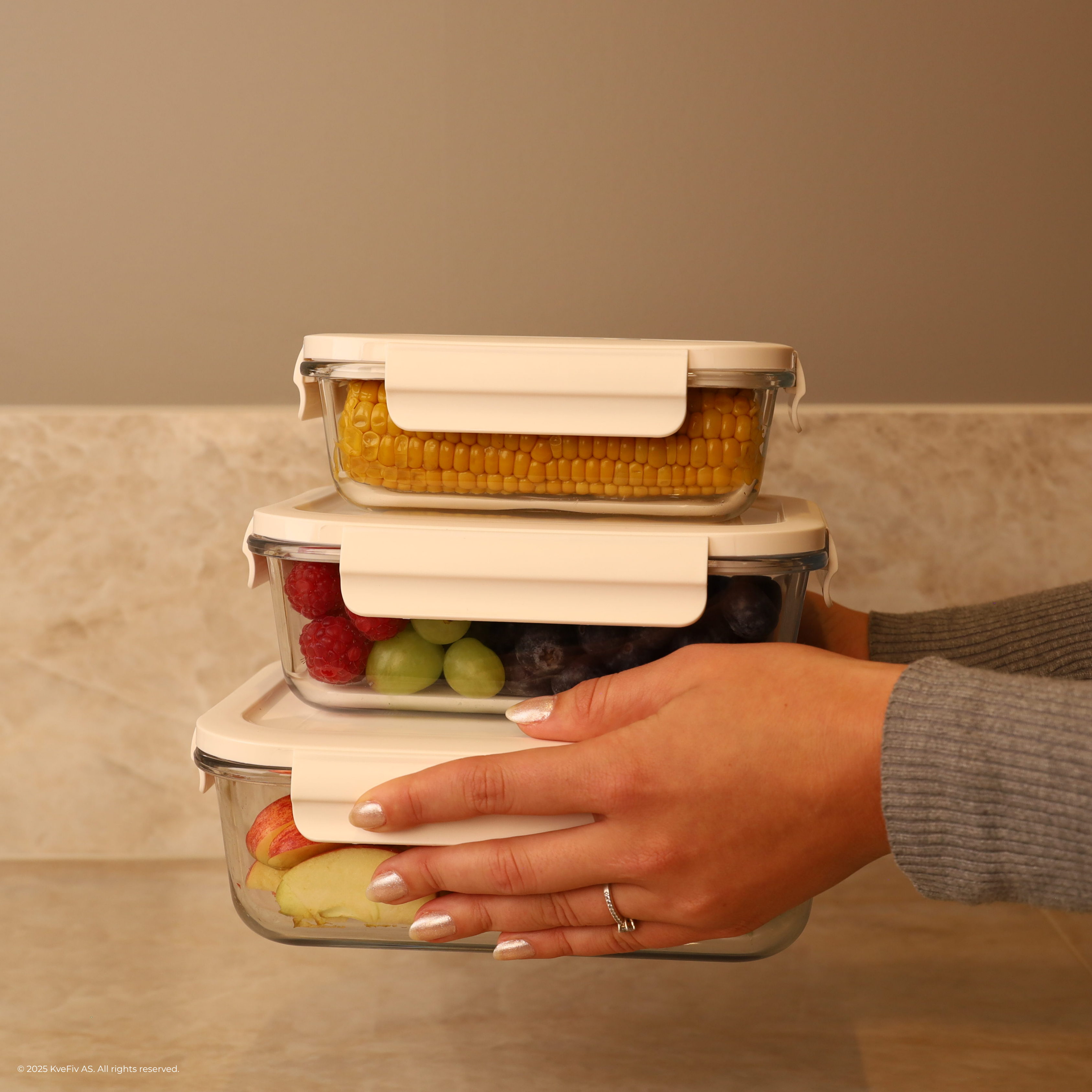 Vakuumbox-set till Matbevara