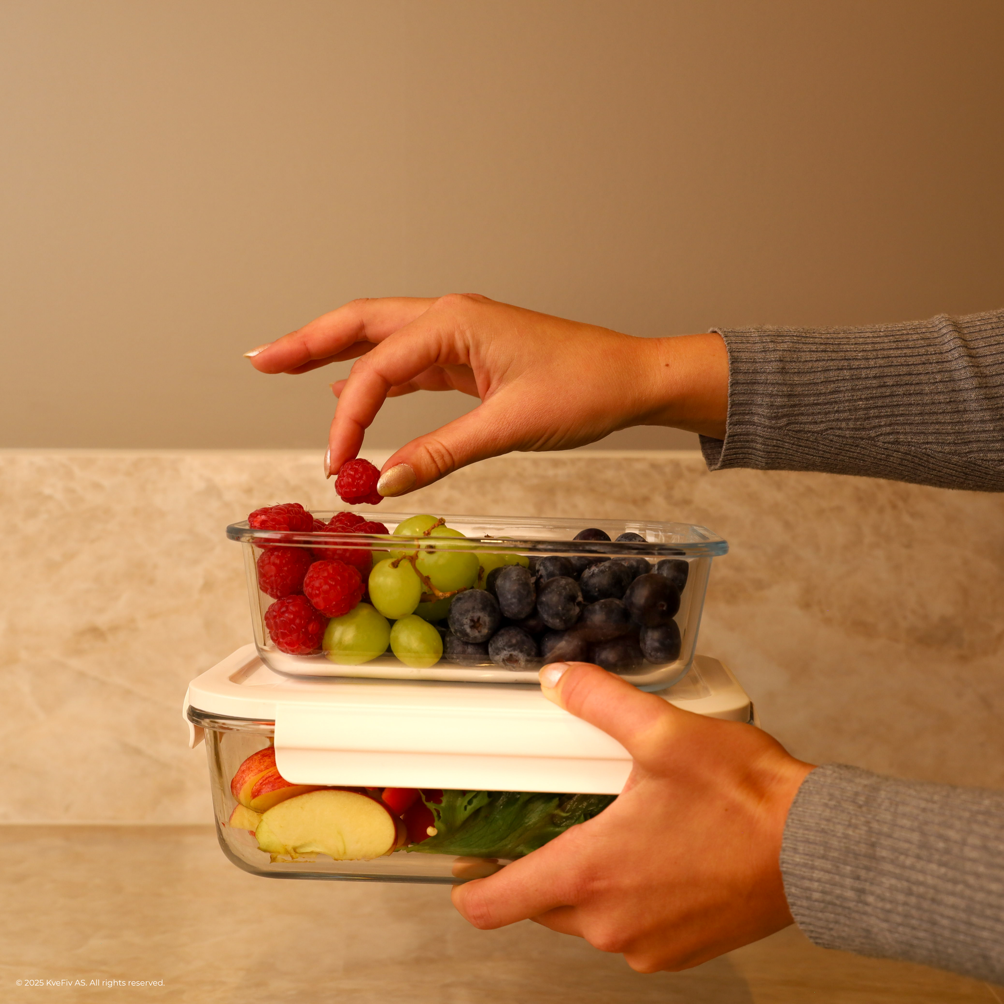 Vakuumbox-set till Matbevara