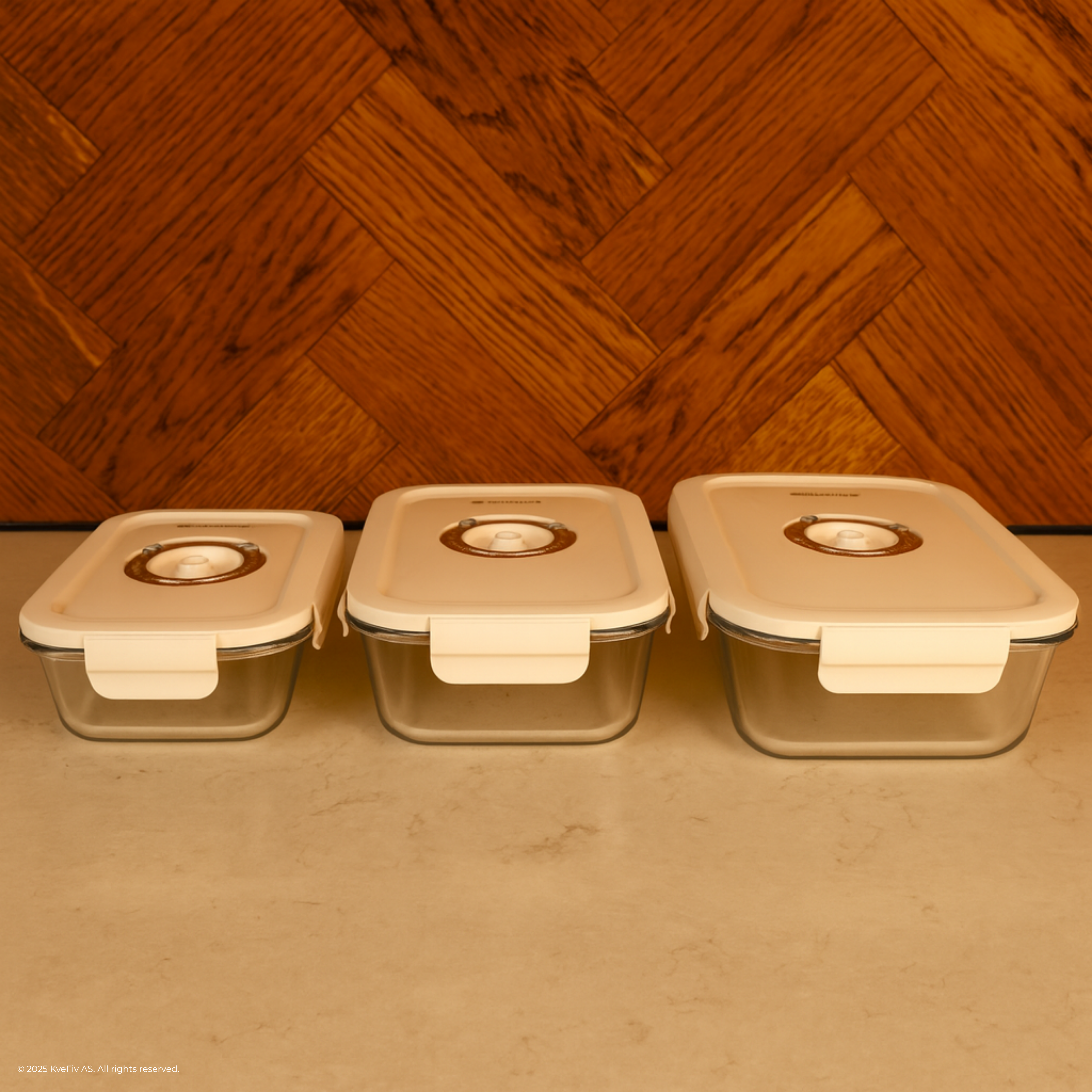 Vakuumbox-set till Matbevara