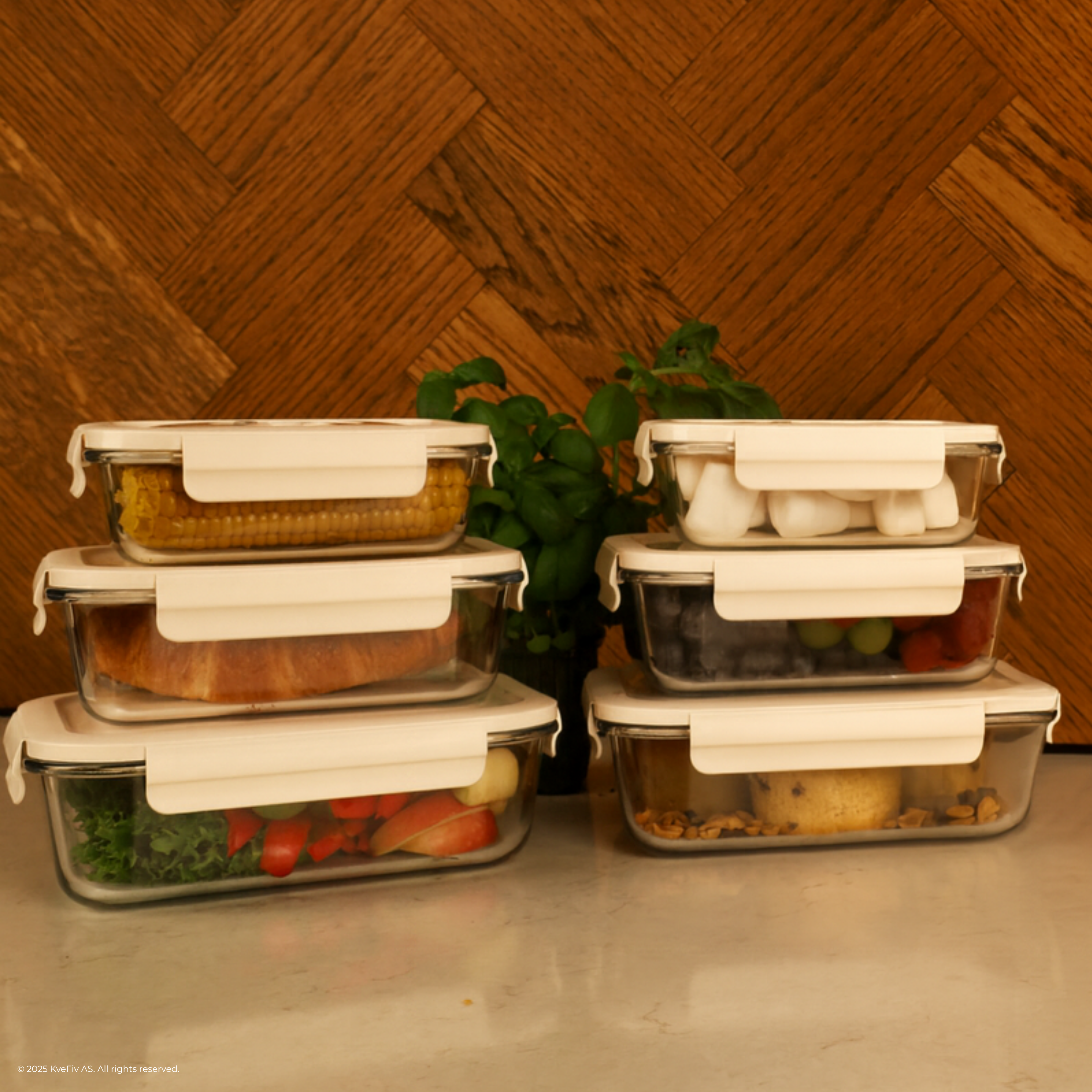 Vakuumbox-set till Matbevara